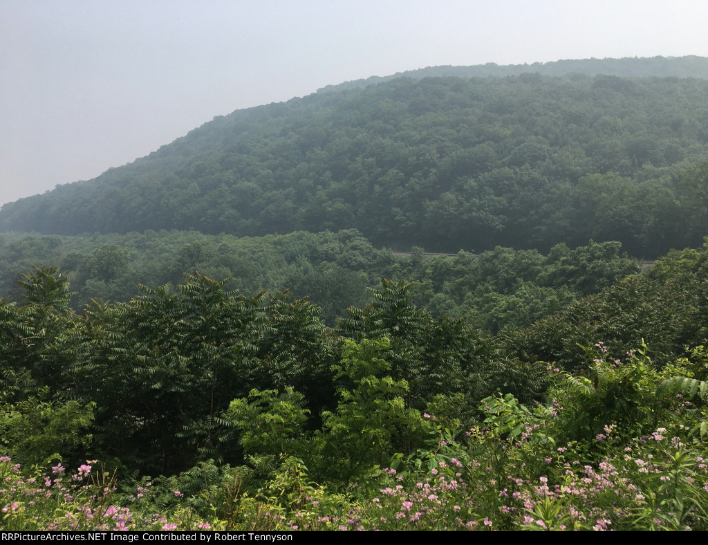 Horseshoe Curve